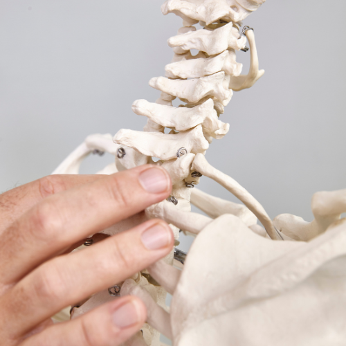 Massage and physiotherapy