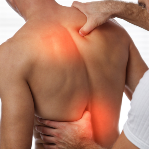 Massage and physiotherapy